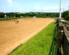 horse ranch in UntererNeckar