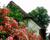 farmhouse in Schleswig-Holstein