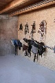 horse ranch, Aurich, Niedersachsen
