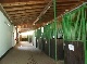 horse ranch, Neckar-Odenwald-Kreis, Baden-Wuerttemberg