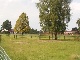 horse ranch, Rostock(Stadt), Mecklenburg-Vorpommern